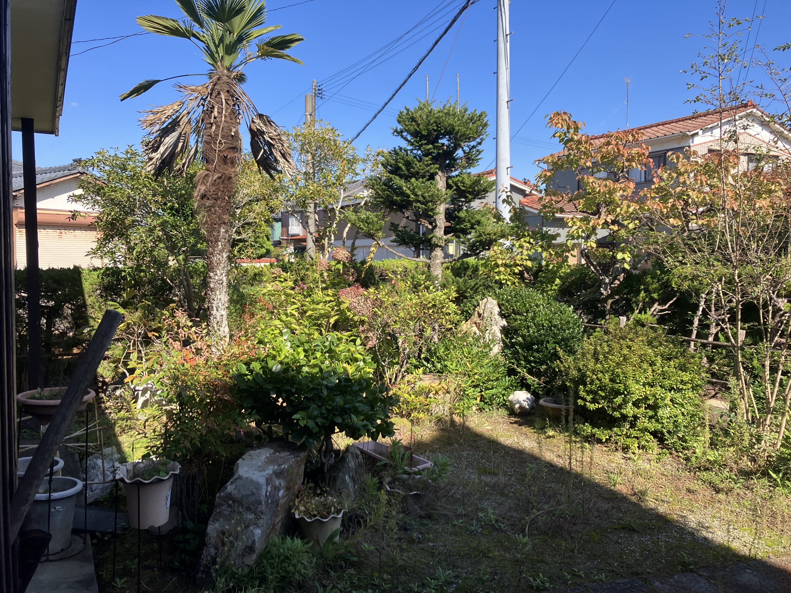 新潟市秋葉区にて木々の伐採、草取りをして欲しいとご相談を頂きました