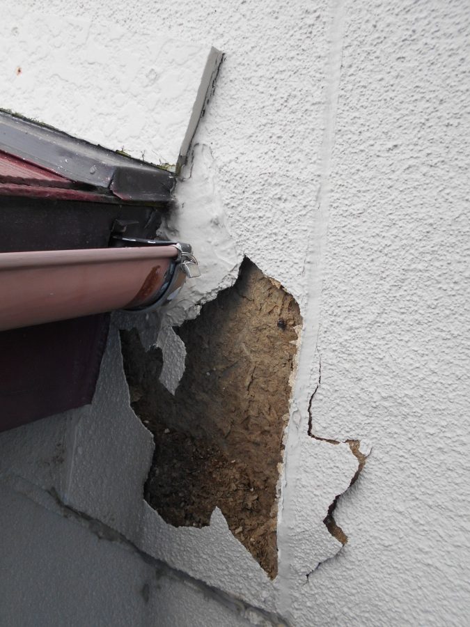 新潟市西区　外壁の問題