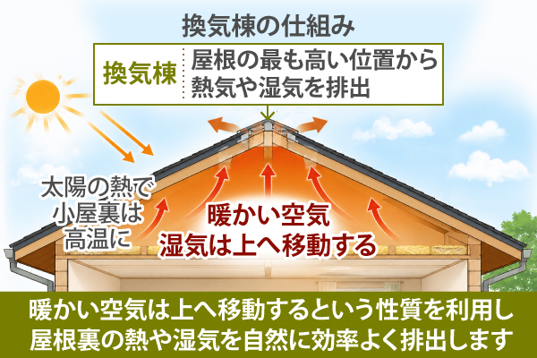 暖かい空気は上へ移動するという性質を利用し屋根裏の熱や湿気を自然に効率よく排出します
